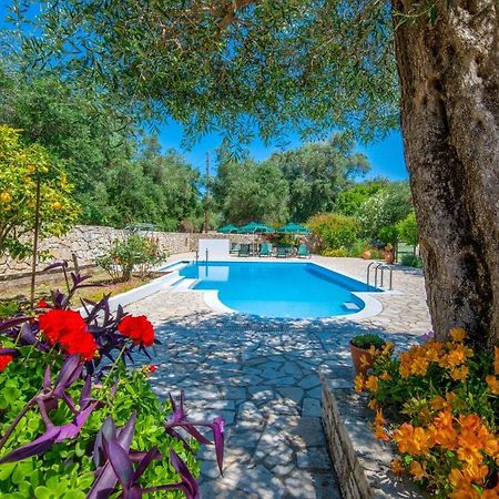 Livadi Studios With Pool Λάκκα Εξωτερικό φωτογραφία
