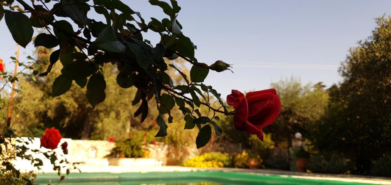 Livadi Studios With Pool Λάκκα Εξωτερικό φωτογραφία