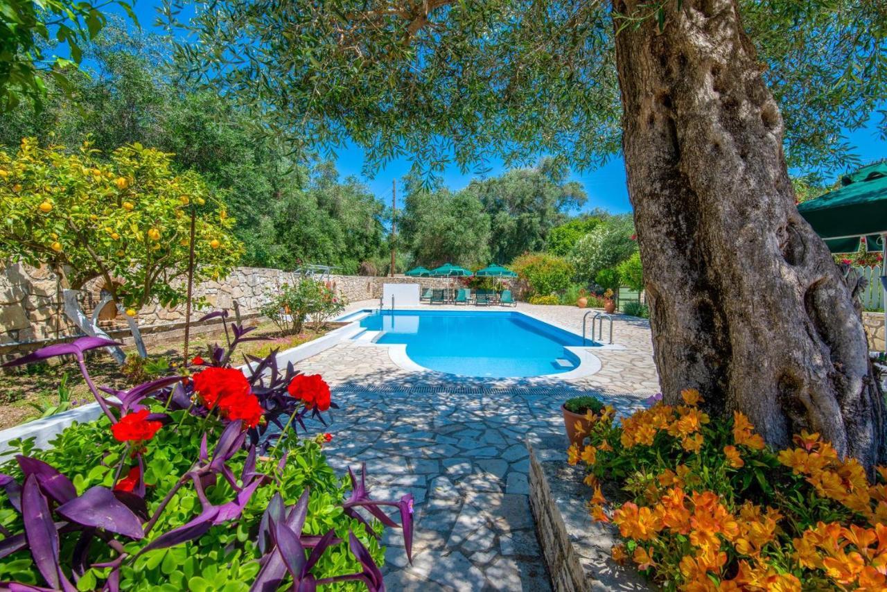 Livadi Studios With Pool Λάκκα Εξωτερικό φωτογραφία